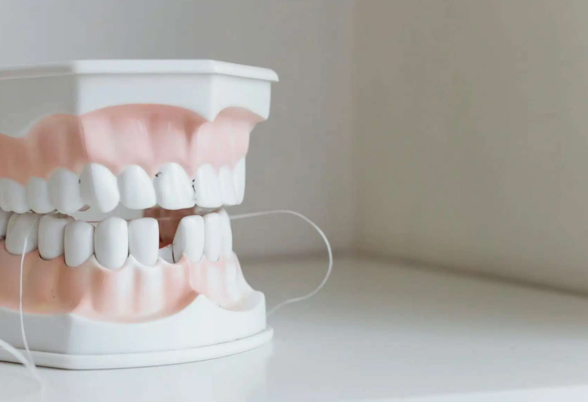 Red Bank Dental Cleanings Near You Red Bank Dental Cleanings Ocean Dentistry